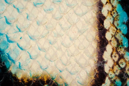 Preview: Turquoise snake leather texture macro close up with glossy reptile scale pattern background