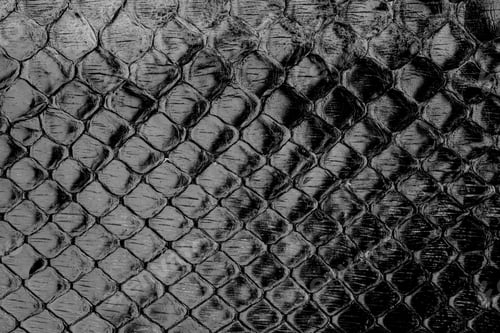 Preview: Black glossy python leather texture close up with reptile scale pattern for fashion background