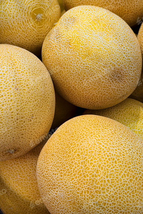 Preview: Close up detail of fresh ripe yellow cantaloupe melon skin texture