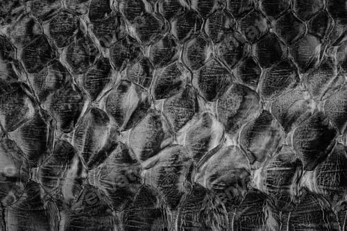 Preview: Black glossy python leather texture close up with reptile scale pattern for fashion background