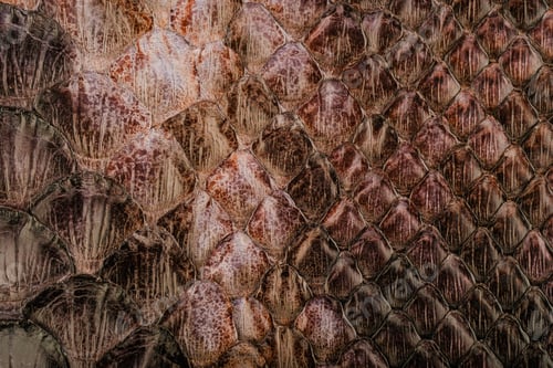 Preview: Python skin texture with glossy snakeskin scale pattern and exotic leather fashion background