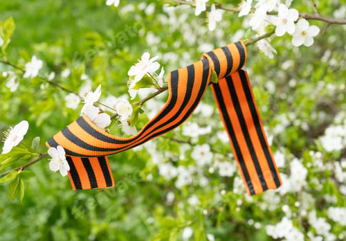 Preview: Cherry branch and Saint Georges ribbon.