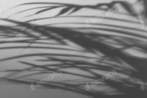 Preview: Dark narrow leaf shadows on a light textured wall.