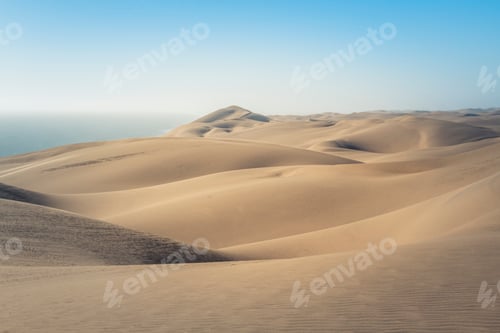 Preview: Namib-Naukluft National Park dunes and the atlantic ocean