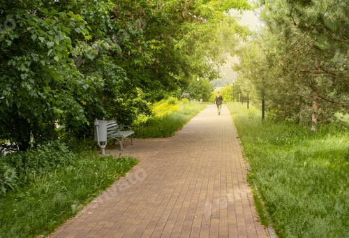 Preview: A path for walking in a city park with sunlight and shadows. Silhouette of an unrecognizable passerb