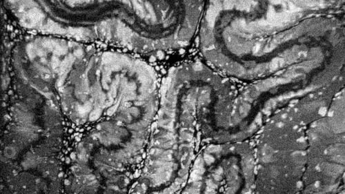Preview: Organic Grunge Texture with Noise and Distortion