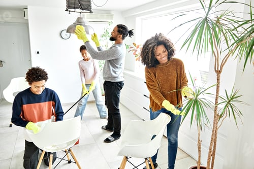 Preview: Home Family Housework House Cleaning Domestic Together Clean Chores Woman Housekeeping Household Roo