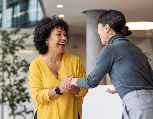 Preview: Business Meeting Businesswoman Office Teamwork Handshake Agreement Applause Hand Shake Shaking Woman