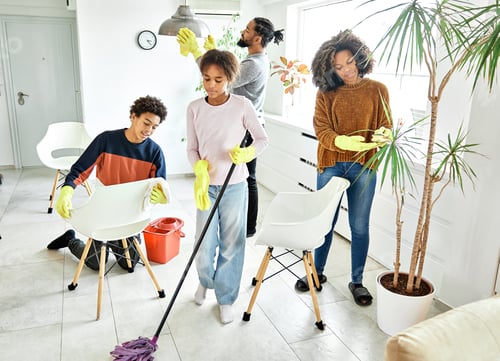 Preview: Home Family Housework House Cleaning Domestic Together Clean Chores Woman Housekeeping Household Roo