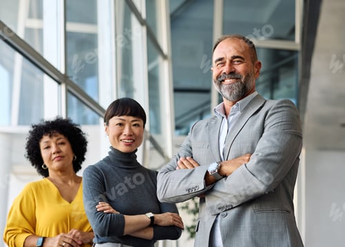 Preview: Business Meeting Office Portrait Teamwork Businesswoman Woman Colleague Group Businessperson Busines