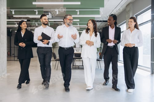 Preview: Diverse business professionals walking, talking, collaborating, moving with confidence in modern off