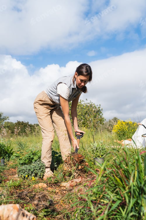 Preview: Woman digging soil working on permaculture farm