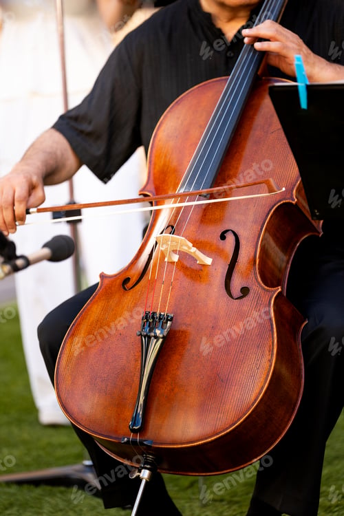 Preview: Cellist performing classical music outdoors, bowing instrument during live concert