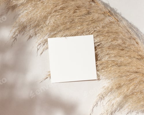 Preview: Blank square card mockup on pampas grass and beige stone top view, boho wedding stationery