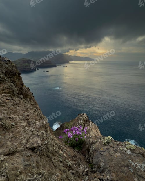 Preview: View of the Coastline from Caniçal Viewpoint at Sunset