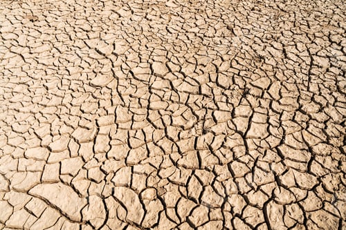 Preview: Natural texture of cracked earth surface during drought.