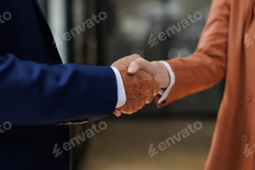 Preview: Business people handshaking completing agreement and making deal