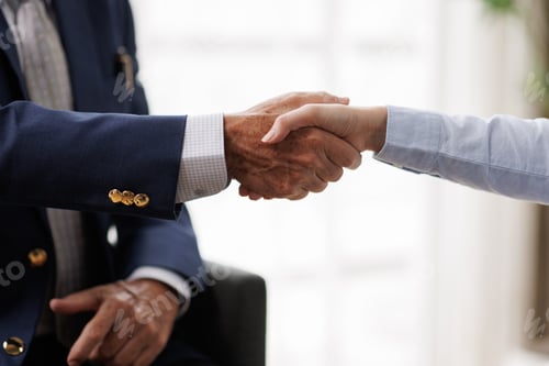 Preview: Business partners shaking hands, creating a firm deal and agreement, showing trust, partnership, coo
