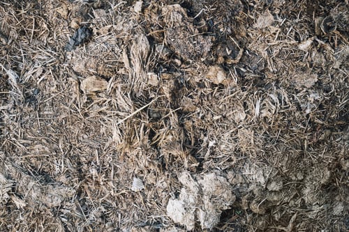 Preview: Dry cow manure and hay creating natural organic fertilizer
