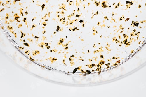 Preview: Transparent liquid serum containing shimmering gold flakes and air bubbles for premium skincare