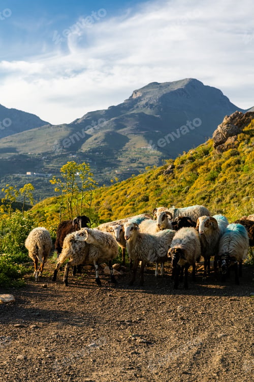 Preview: Peaceful Mountain Countryside in Crete During Spring