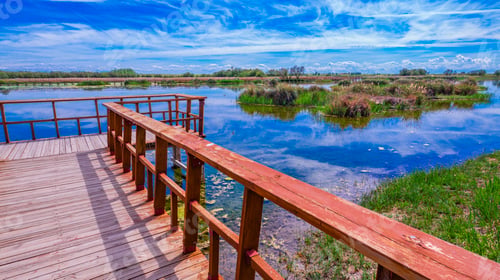 Preview: Tablas de Daimiel National Park, Spain