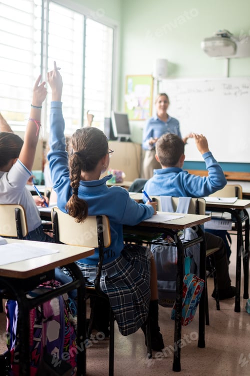 Preview: Elementary school students raising their hands during a classroom lesson