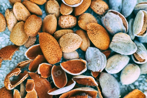 Preview: Almonds in shell showing healthy snack food