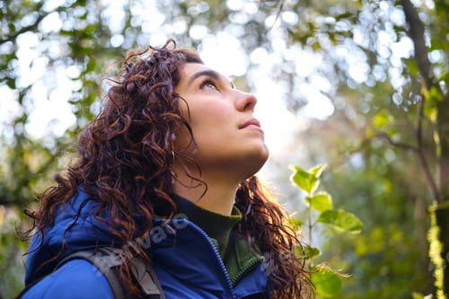 Preview: Young hiker looking up enjoying a moment of calm at the sunlight through trees in a forest