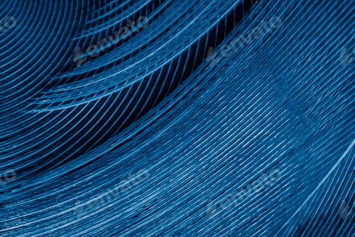 Preview: Detailed macro texture of blue bird feather with curved geometric lines