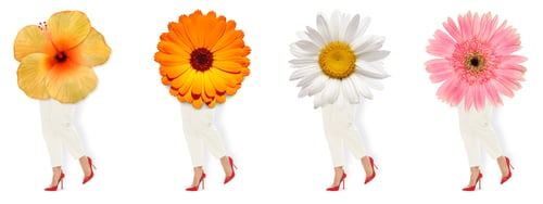 Preview: Set of female legs with different flowers, on white