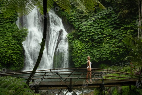 Preview: Person walks on a bridge near a waterfall and lush plants