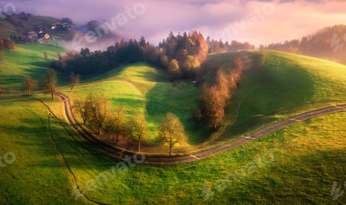 Preview: Aerial view of trees on meadow, mountains in pink low clouds