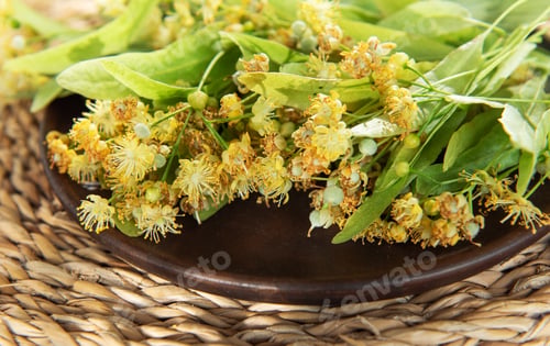 Preview: Linden tree blossoms on a dark plate preparing herbal tea
