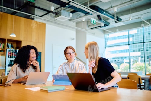 Preview: Diverse businesswomen collaborating discussing project in modern office