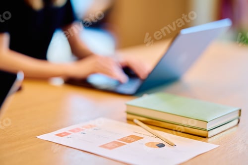 Preview: Woman working on laptop with business documents and books