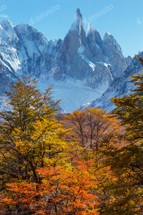 Preview: Autumn in Patagonia