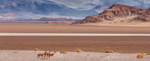 Preview: Vicuna
