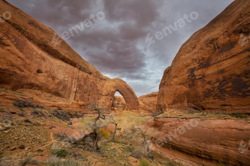 Preview: Arches in Utah