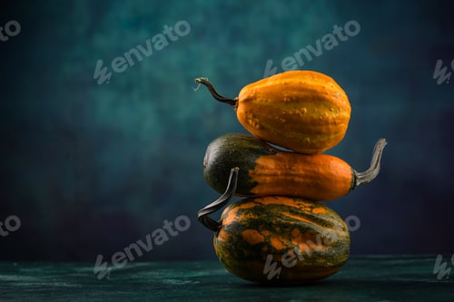 Preview: Various decorative pumpkin on green background