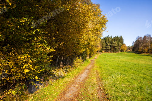 Preview: Autumn Country Path Through Green Fields in Bergen