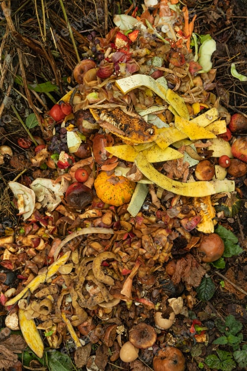 Preview: Compost pile made of organic food, leaves, vegetable and fruit waste mix