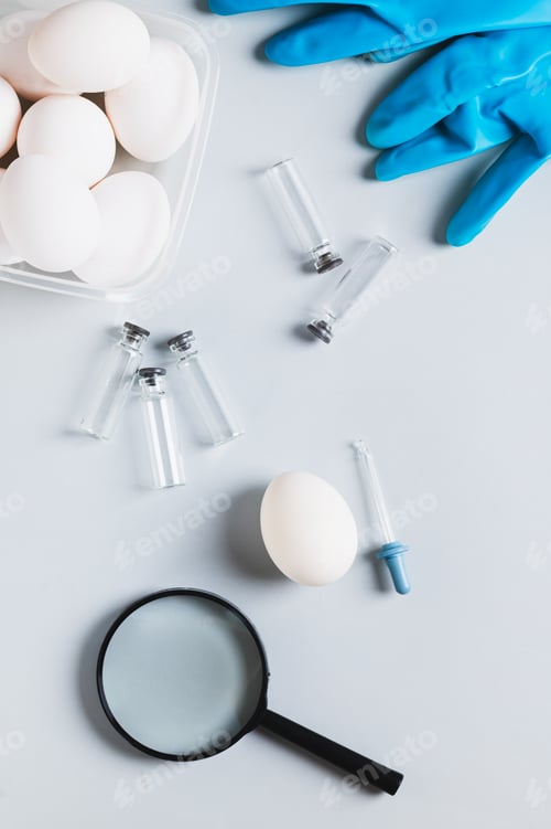 Preview: Protection against salmonella from chicken eggs, eggs on the table top and vertical view