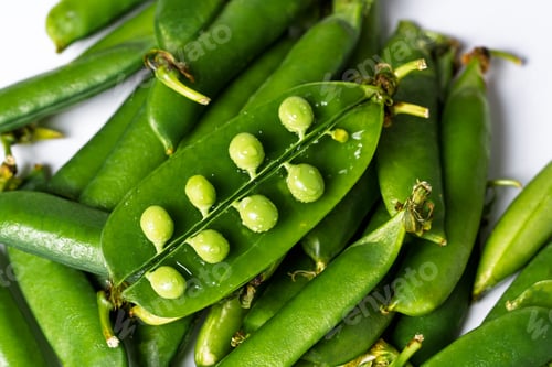Preview: Fresh green peas pods opening on white