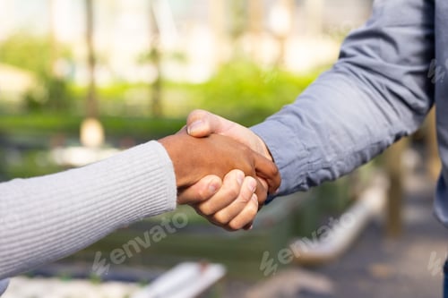 Preview: Diverse coworkers shaking hands on planted walkway showing light gray sweater and light blue shirt