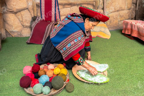 Preview: Andean woman extracting cochineal from cactus for traditional wool coloring in Peru