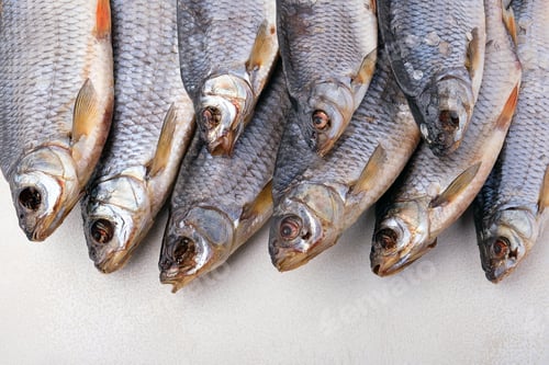 Preview: Dried salted fish on Light Background