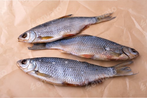 Preview: Three Dried salted fish on parchment Paper Background