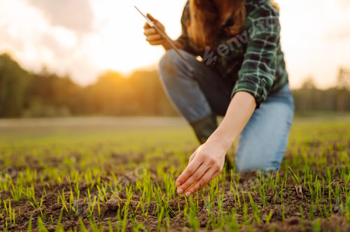 Preview: Farmer woman in boots checks the quality of the soil before sowing in her hands with digital tablet.