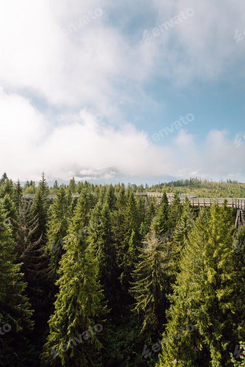 Preview: Wooden bridge in middle of the forest with view of mountains, Tatras. Architecture concept, hiking.